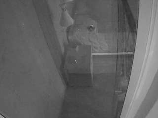 voyeurcam casa salsa bathroom 12